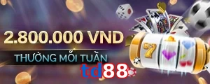 td88