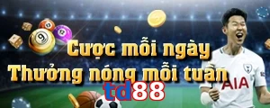 td88